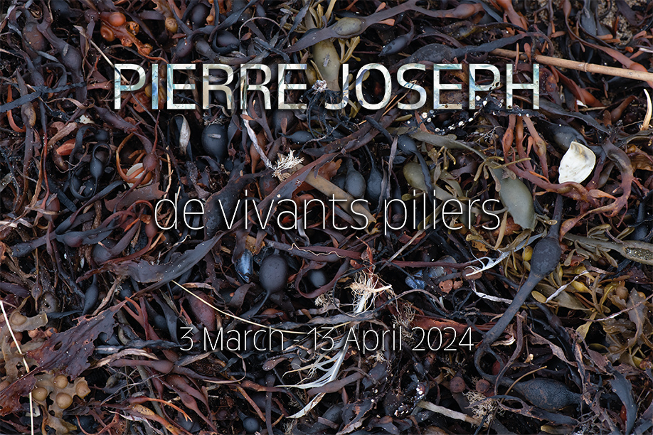 Pierre Joseph - de vivants piliers